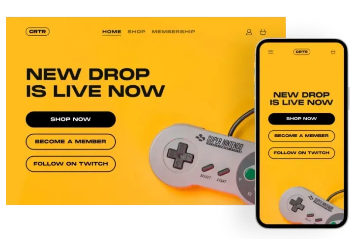 An image of shop that is powered by Fourthwall. The image shows the products that you can sell